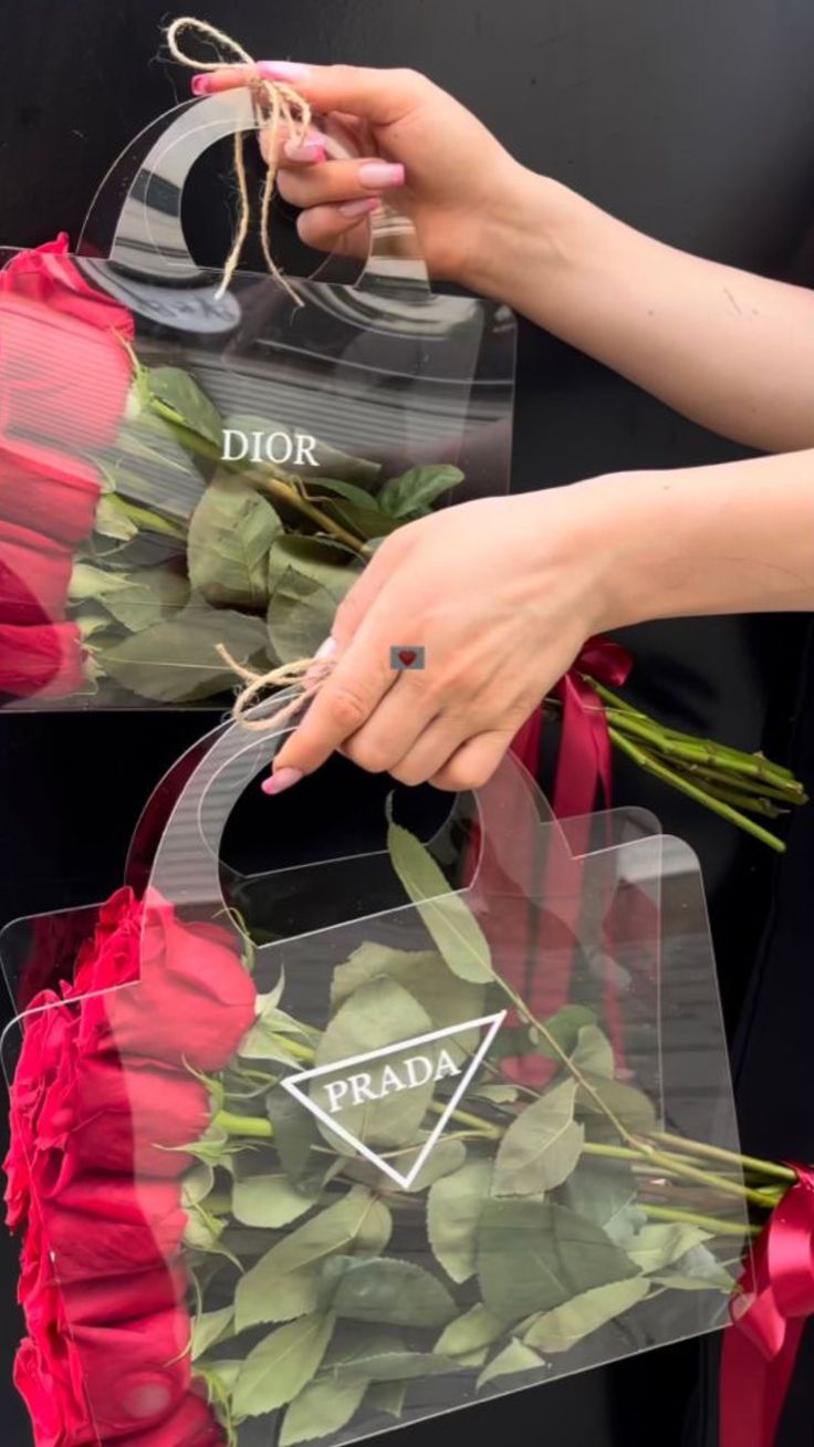 Acrylic Bags